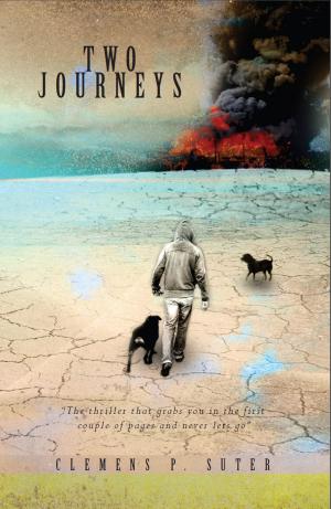 Cover of the book Two Journeys by L. M. Hawke