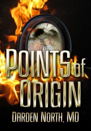 bigCover of the book Points of Origin by 