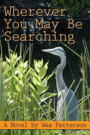 Cover of Wherever You May Be Searching