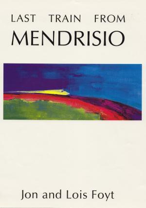 Book cover of Last Train from Mendrisio