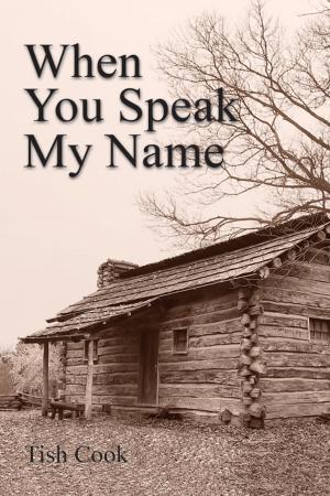 Cover of the book When You Speak My Name by Christine Bothun