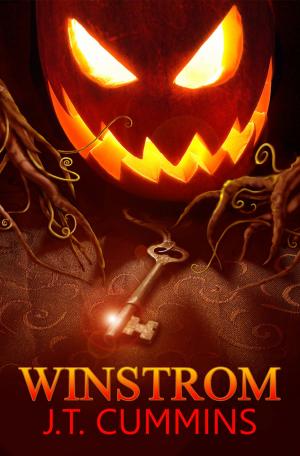 Cover of the book Winstrom by Ryan Sean O'Reilly
