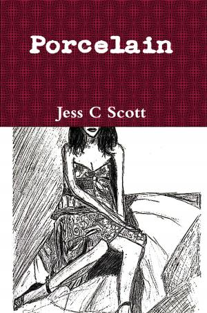 Cover of the book Porcelain by Jess C Scott