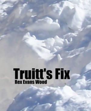Cover of the book Truitt's Fix by Brian Olsen