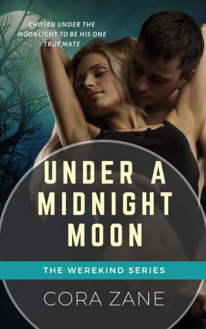 Book cover of Under A Midnight Moon