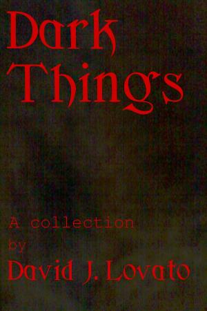 Cover of the book Dark Things by D.L. Gardner