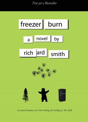 Book cover of Freezer Burn