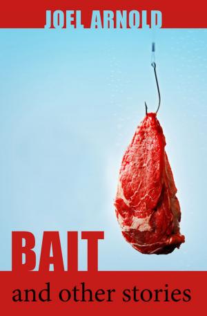 Cover of the book Bait and Other Stories by Jennifer Redmile