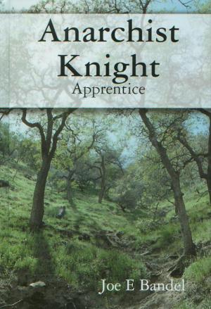 Book cover of Anarchist Knight: Apprentice