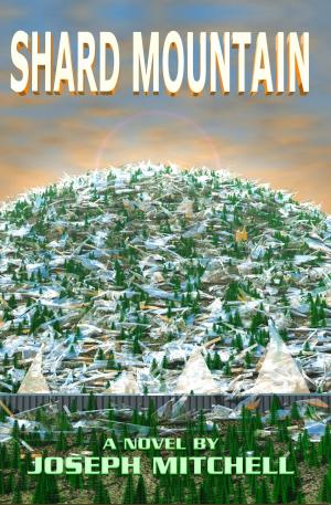Book cover of Shard Mountain