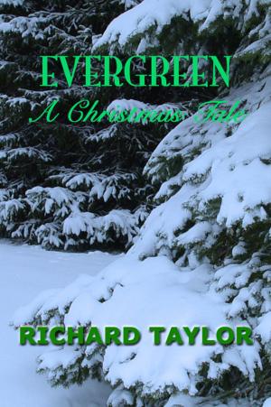 Cover of the book Evergreen A Christmas Tale by N.K. Aning
