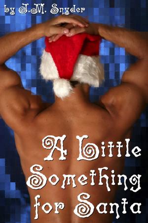Cover of the book A Little Something for Santa by Drew Hunt