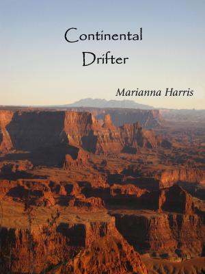 Cover of the book Continental Drifter by Marianna S. Rachid