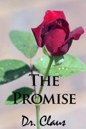 Cover of the book The Promise by Dr. Claus