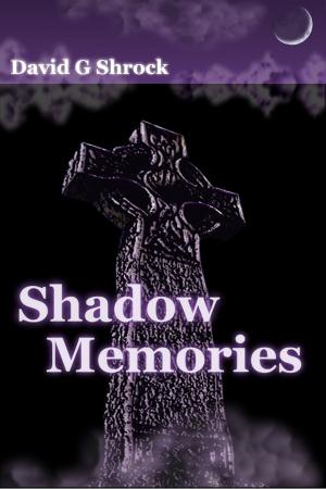 bigCover of the book Shadow Memories by 