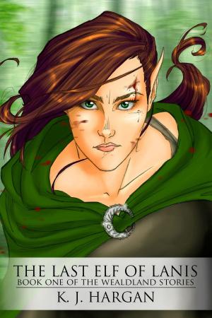 Cover of the book The Last Elf of Lanis by Erin Lausten