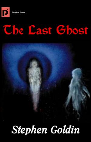 Book cover of The Last Ghost
