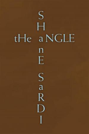 Book cover of The Angle