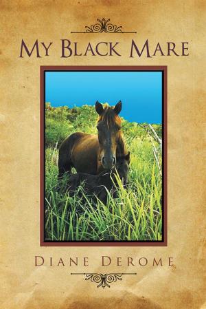 Cover of the book My Black Mare by C. C. C.