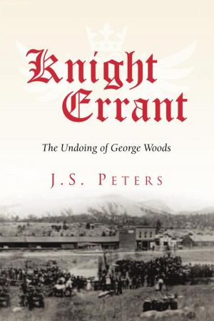 Book cover of Knight Errant
