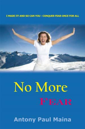 Cover of the book No More Fear by Steven Payne