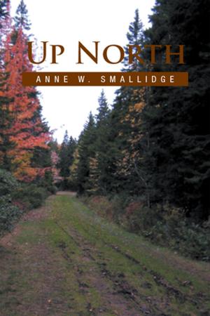 Cover of the book Up North by William H. Grimball