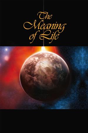Cover of the book The Meaning of Life by Roger M. Hart