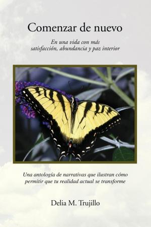 Book cover of Comenzar De Nuevo