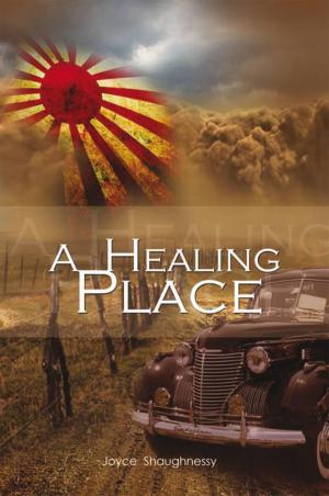 Cover of the book A Healing Place by Lisa Hart