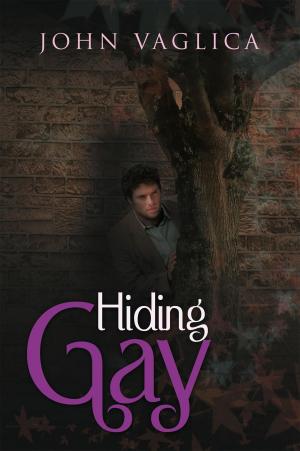 Cover of the book Hiding Gay by Lamar Smith