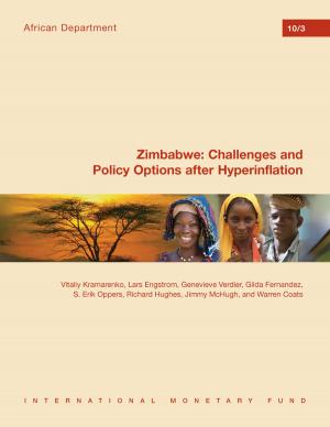Cover of the book Zimbabwe: Challenges and Policy Options after Hyperinflation by Charles Mr. Enoch, Tomás Mr. Baliño