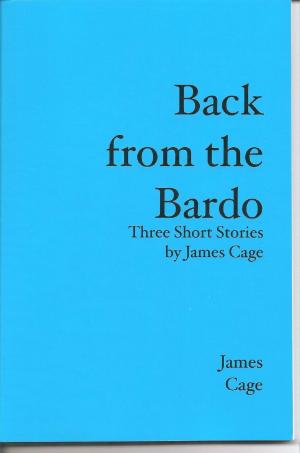 Book cover of Back From The Bardo