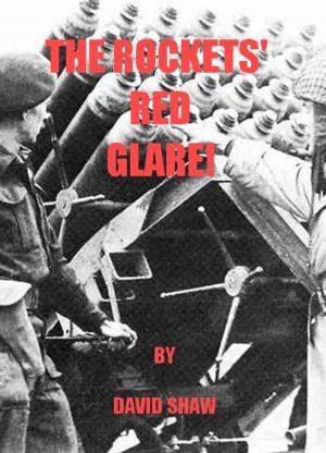 Book cover of The Rockets' Red Glare