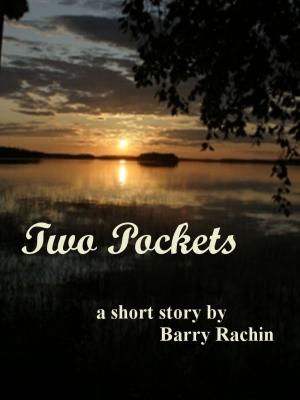 Cover of the book Two Pockets by Barry Rachin