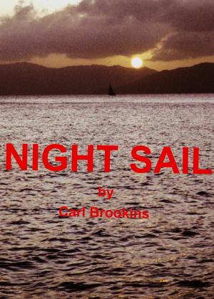 Cover of the book Night Sail by Rodney St Clair Ballenden