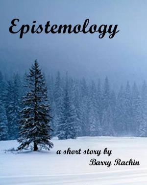 Cover of the book Epistemology by Barry Rachin