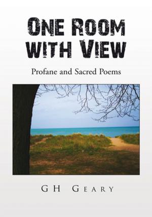 Cover of the book One Room with View by David Nickeson
