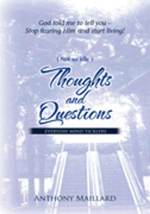 Cover of the book (Not so Idle) Thoughts and Questions by Robert Louis Tegenkamp
