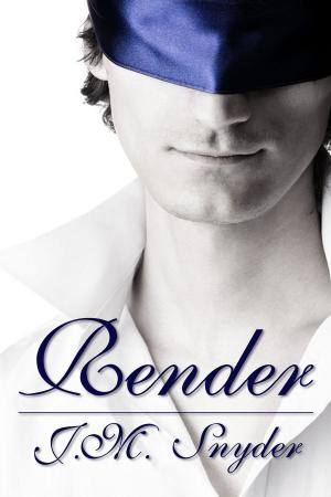 Cover of the book Render by Ann Omasta