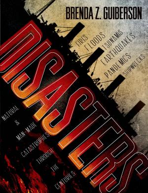 Cover of the book Disasters by Margaret Mayo