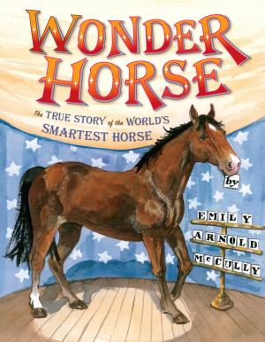 Cover of the book Wonder Horse by Ryan Heshka