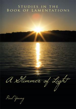 Cover of the book A Glimmer of Light by David Gates