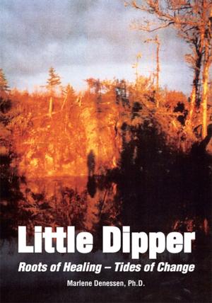 Cover of the book Little Dipper by Alida van den Bos