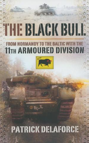 Cover of the book The Black Bull by Tim Saunders