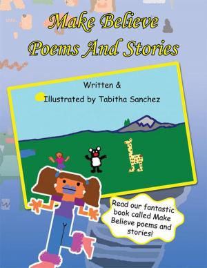 Cover of the book Make Believe Poems and Stories by Guro Bert Domingo