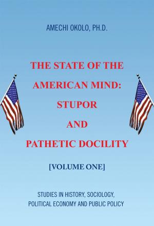 Cover of the book The State of the American Mind: Stupor and Pathetic Docility by David DelBianco