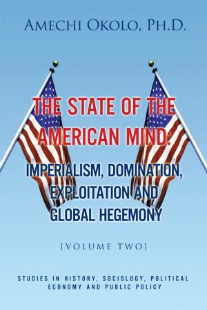 Cover of the book The State of the American Mind: Stupor and Pathetic Docility Volume Ii by Federico Dezzani