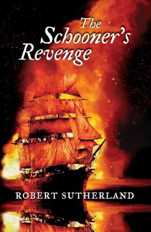 Book cover of The Schooner's Revenge