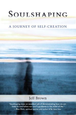 Book cover of Soulshaping