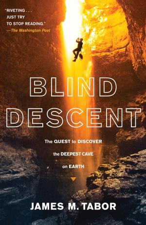Cover of the book Blind Descent by Carmit Delman